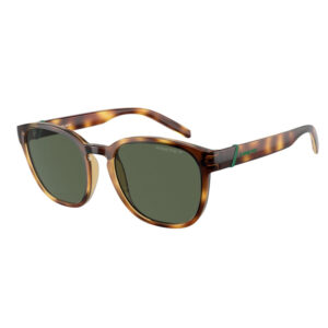Occhiali da sole Arnette AN4319 Barranco 27709A tartarugato marrone verde forma squadrata lenti cristallo verde montatura unisex