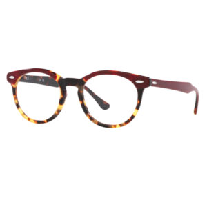 Ray-Ban Vista 5598 EAGLEEYE