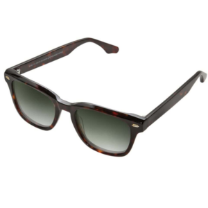 Clark K4185 C3 havana polarizzato pantos acetato lenti verde sfumato unisex