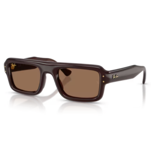 Occhiali Ray-Ban RB4954 Flacko Puffer unisex marroni con montatura marrone scuro trasparente e lenti marroni
