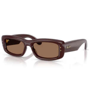 Occhiali da sole Ray-Ban RB4944 Kiliane Puffer 687773 Marrone Scuro Trasparente con lenti Dark Brown